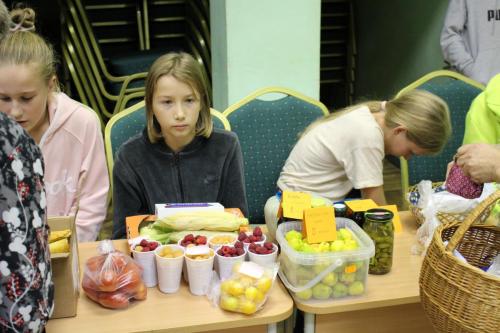 IMG 3531