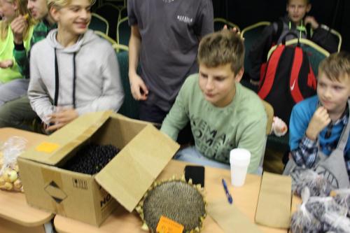IMG 3533