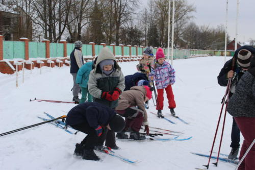 IMG 3201