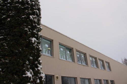 IMG 6685